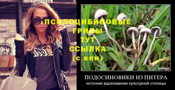 СК Наволоки
