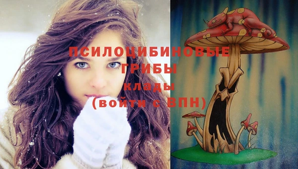 стафф Валдай