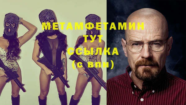 гидра Михайловка