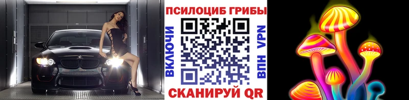 купить наркоту  нарко площадка Telegram  Галлюциногенные грибы мицелий  Каневская 
